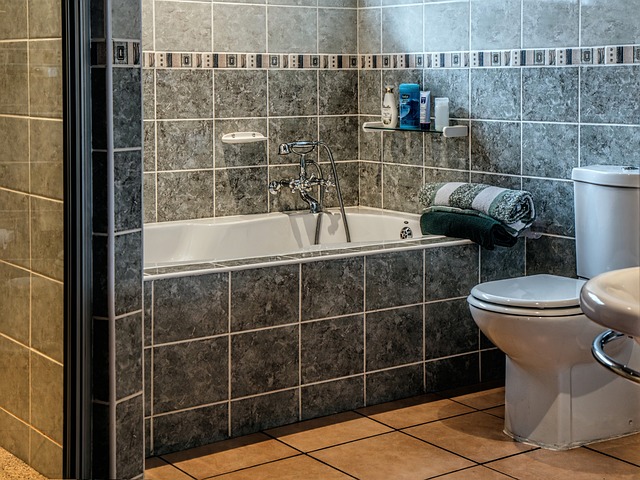 bathroom-g229b84783_640